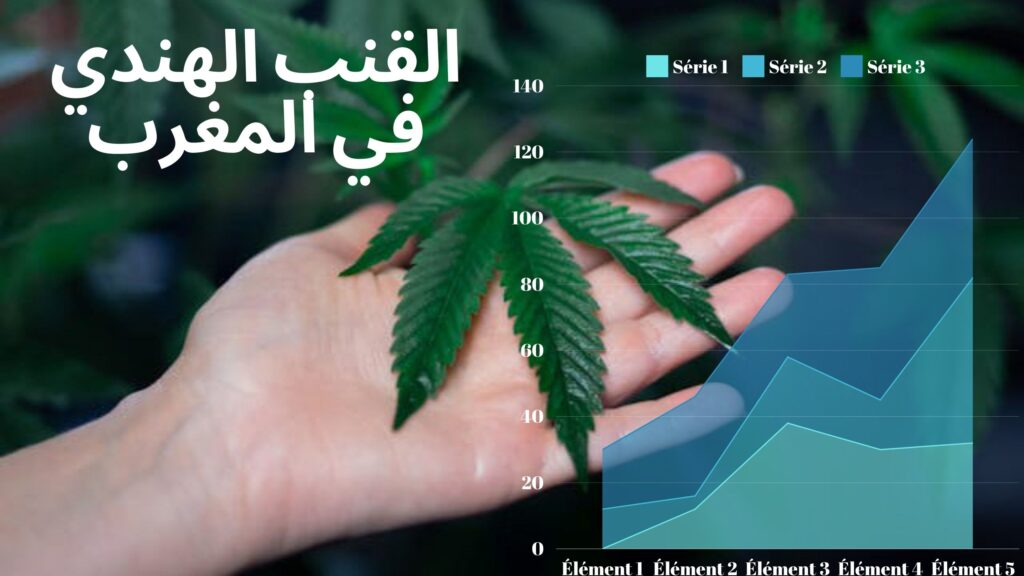 القنب الهندي في المغرب 1